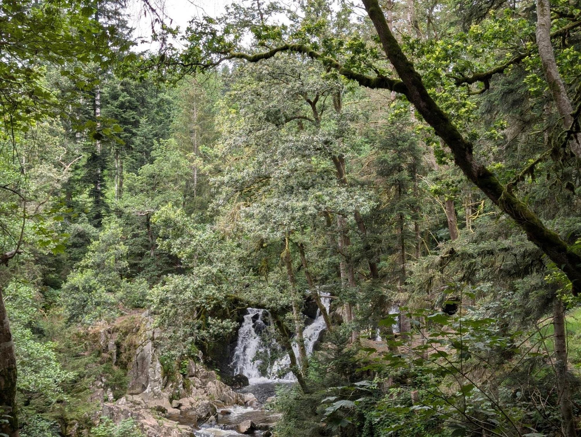Le Petit Counehet Cornimont Buitenkant foto